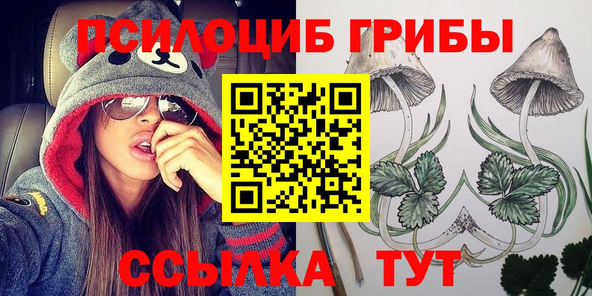 Псилоцибиновые грибы MAGIC MUSHROOMS  как найти закладки  Павлово  Вход с VPN 